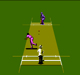 International Cricket Screenshot 1